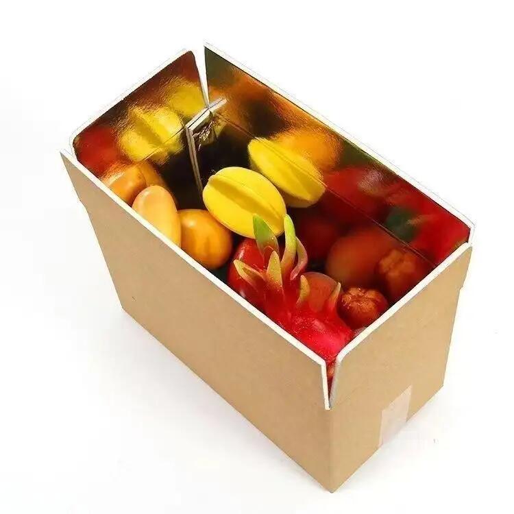 Customizable Foldable Catering Food Thermal Insulation Transport Boxes Aluminum Foil Foam Insulated Shipping Box