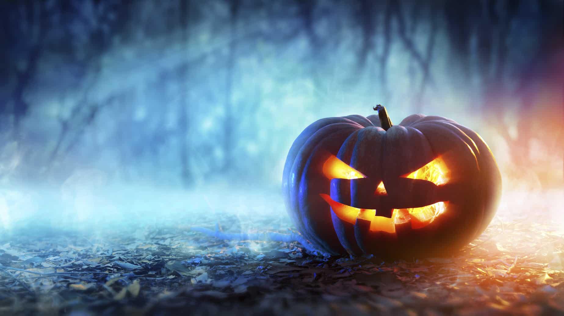 Unraveling the Mystique: Halloween Traditions and Spooky Delights