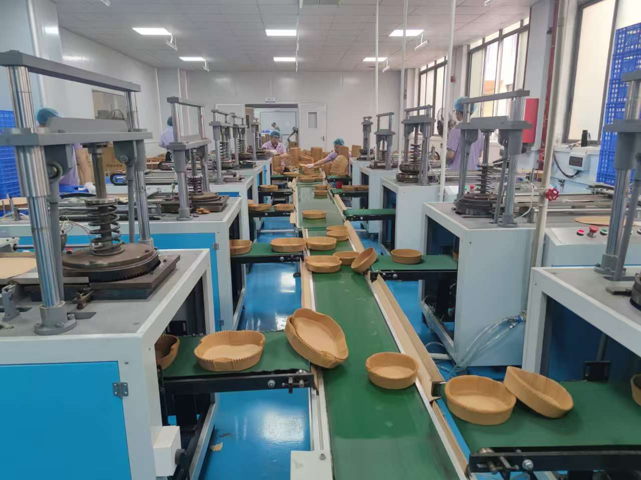 How Holidaypac's Sales Team Drives Client Success in Air Fryer Paper Liners Manufacturing Across China&Cambodia&Thailand