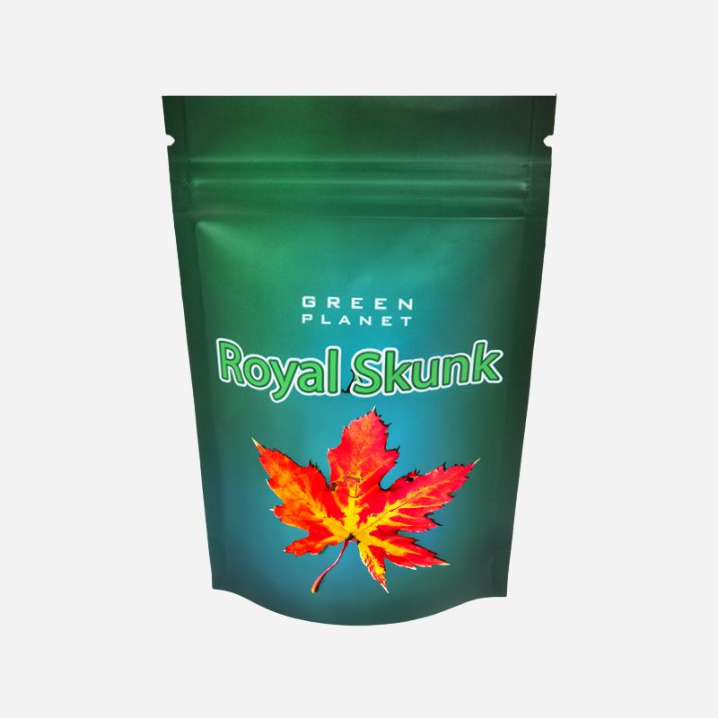 Custom Stand up Child Resistant Pouch - Holidaypac