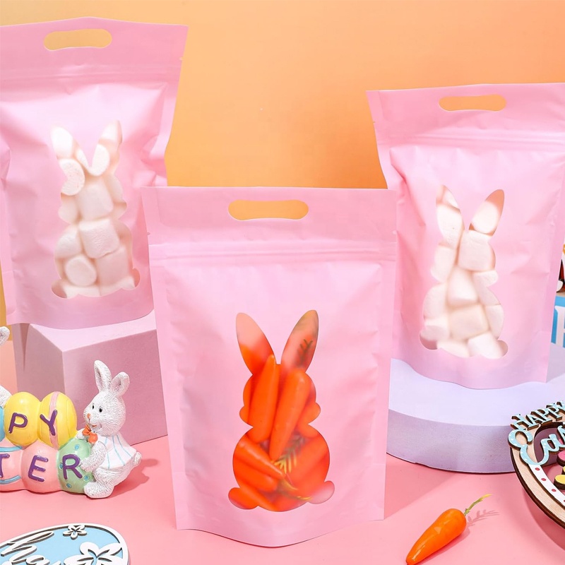 Custom Resealable Flexible Packaging Stand Up Pouch with Handle - Holidaypac