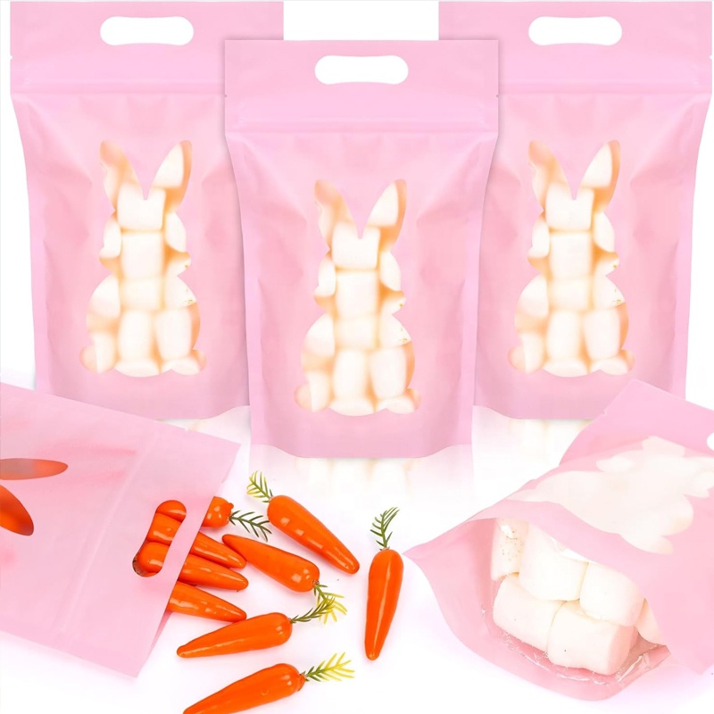 Custom Resealable Flexible Packaging Stand Up Pouch with Handle - Holidaypac