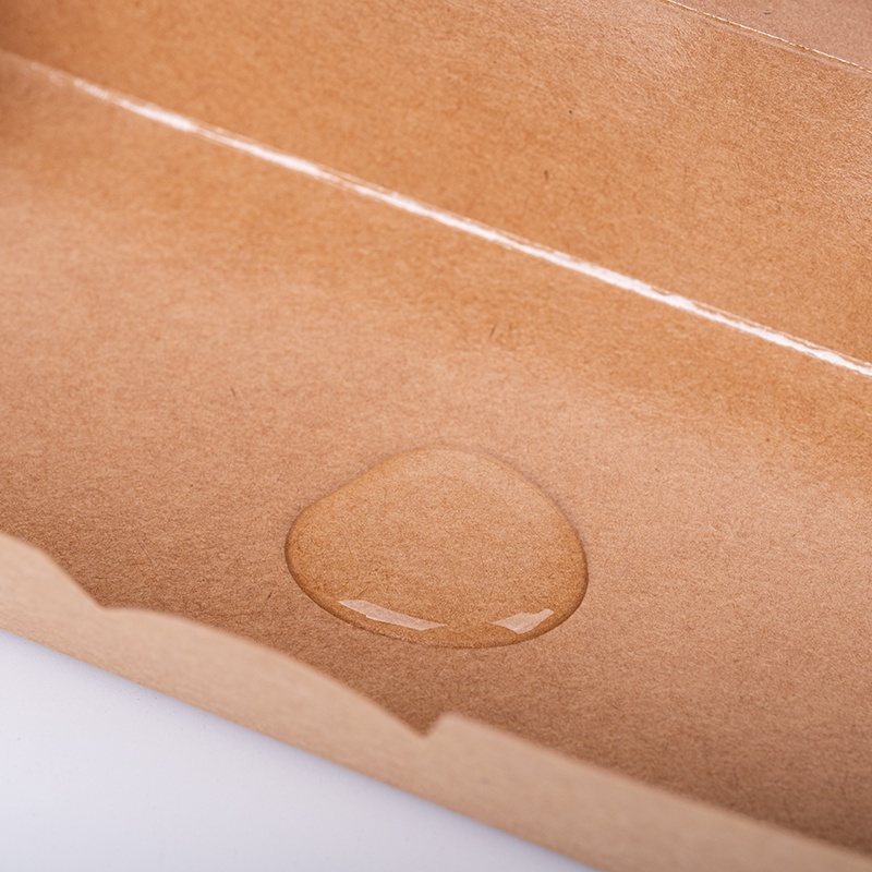 Custom Kraft Paper Snack Boxes with Advanced Aqueous Coatings - Holidaypac
