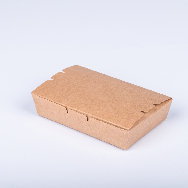 Custom Kraft Paper Snack Boxes with Advanced Aqueous Coatings - Holidaypac