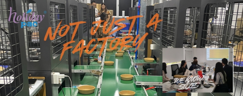 6. How the Founder of Holidaypac Balances Manufacturing and Trade Thinking