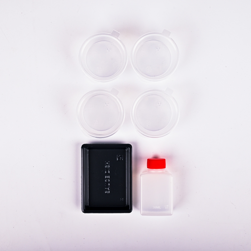 Custom Black Cardboard Sushi Boxes with Divider and Sauce Holders - Holidaypac