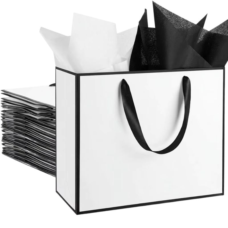 Custom Metallic Paper Gift Bags with Ribbon & Tissue Paper - Holidaypac