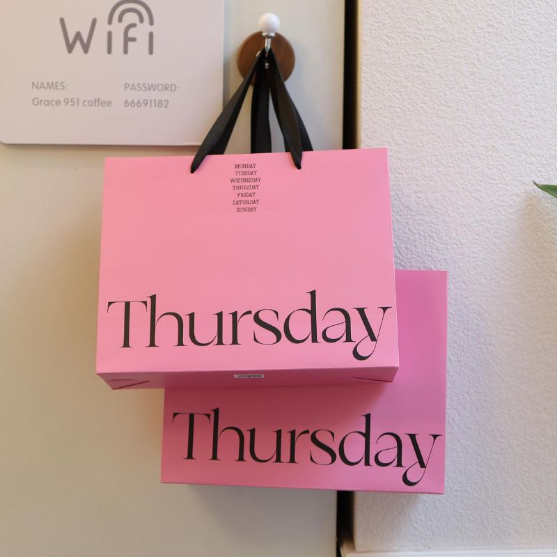 Custom Apparel Paper Shopping Bags - Holidaypac