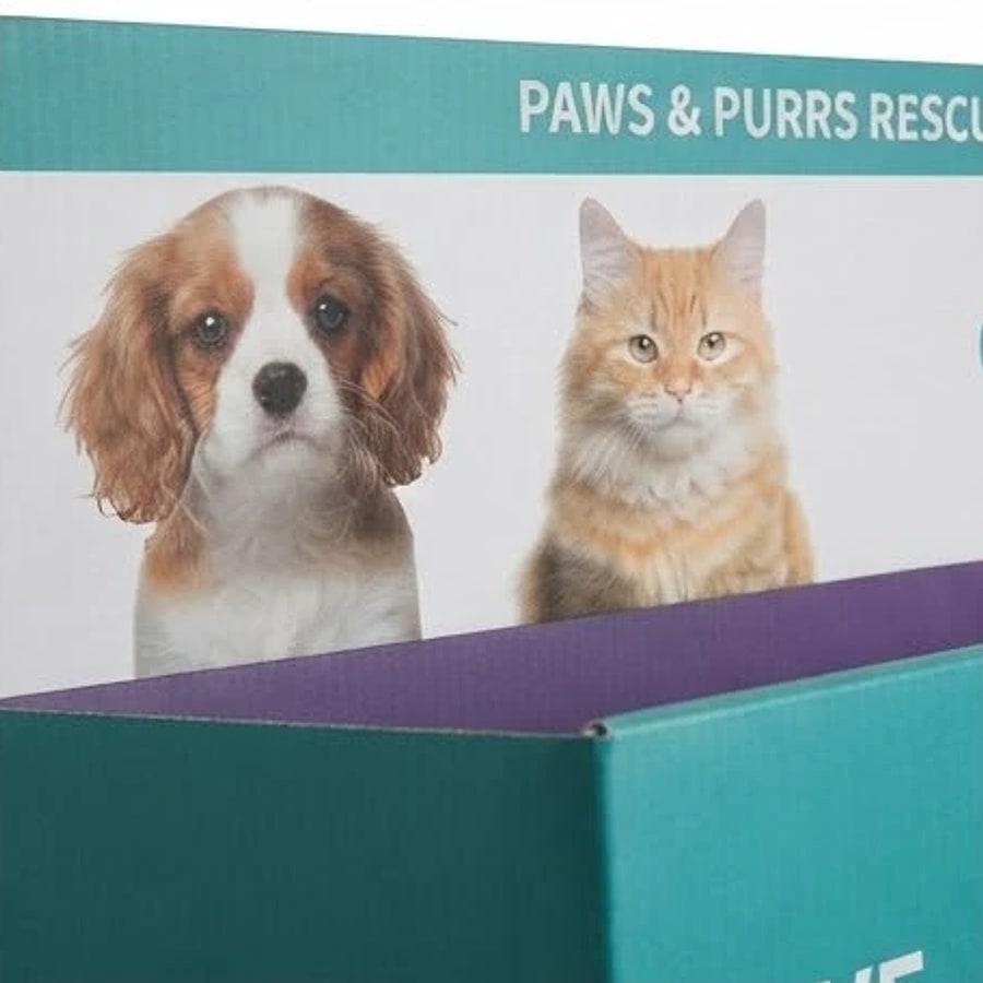 Cardboard Pet Store Display Stand for Pet Accessories - Holidaypac