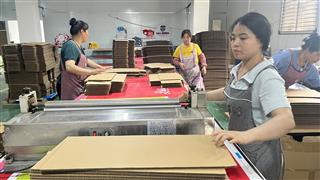 Operators working with paperboard sheets on a workshop production line