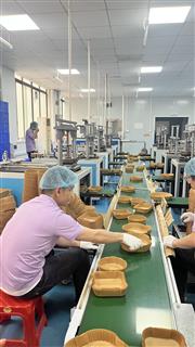 Operators handling formed paper trays along a green conveyor