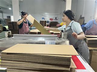Custom Multi-Compartment Cardboard Counter Display