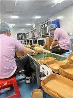 Round and rectangular formed paper liners beside a conveyor at Holidaypac.
