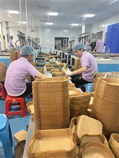 Nested round paper liners and cartons beside the Holidaypac production area.