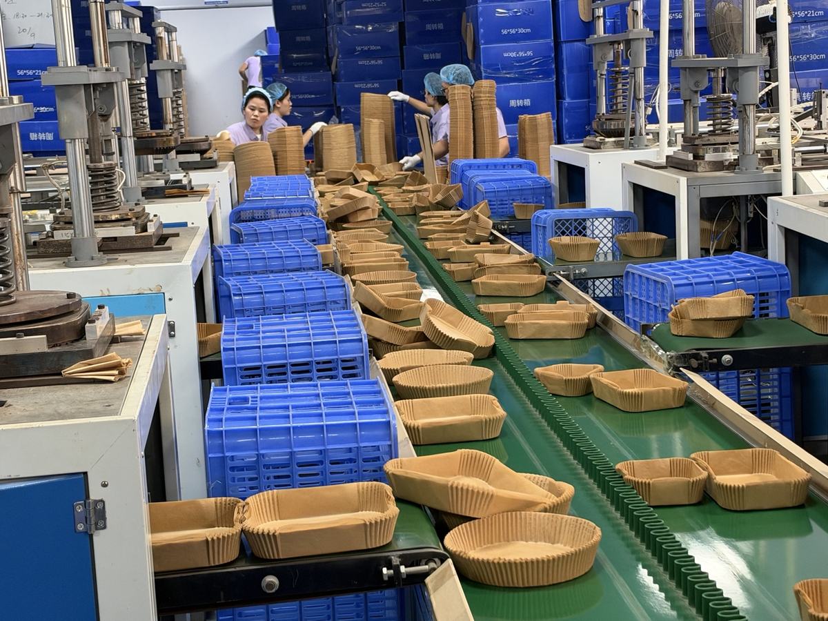 Holidaypac formed rectangular air fryer paper liners on a conveyor between forming stations Holidaypac formed rectangular air fryer paper liners on a conveyor between forming stations