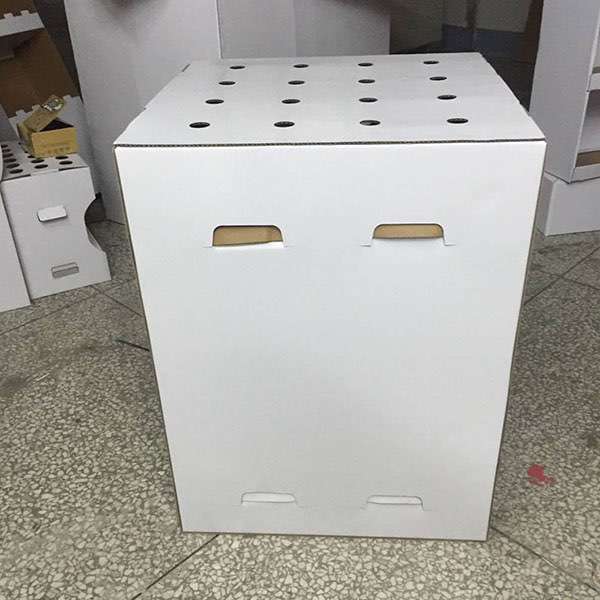 Chinese Supplier Customized | 16 pcs Cheap Umbrella Display  HLD-YPZ050