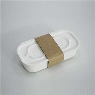 Eco-Friendly Packaging from Sustainable Packaging Industries HLD-P007