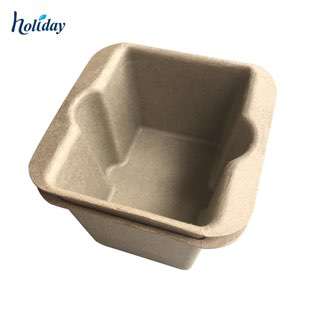 2020 Hot Sale Fashioned Recyclable Eco-friendly Kraft Pulp Box For Packing Watch Of Holidaypac