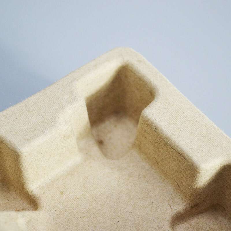 Molded Pulp Packaging China Factory OEM Molded Bagasse Paper Pulp Packaging
