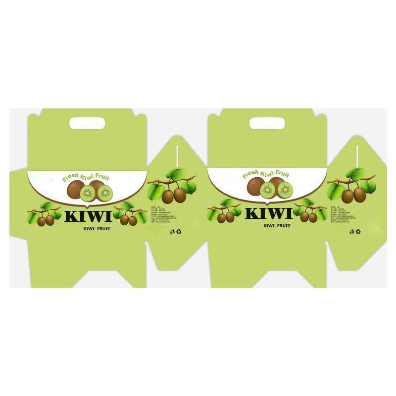 Custom Dustproof Fruit Corrugated Paper Box With Handle - Holidaypac
