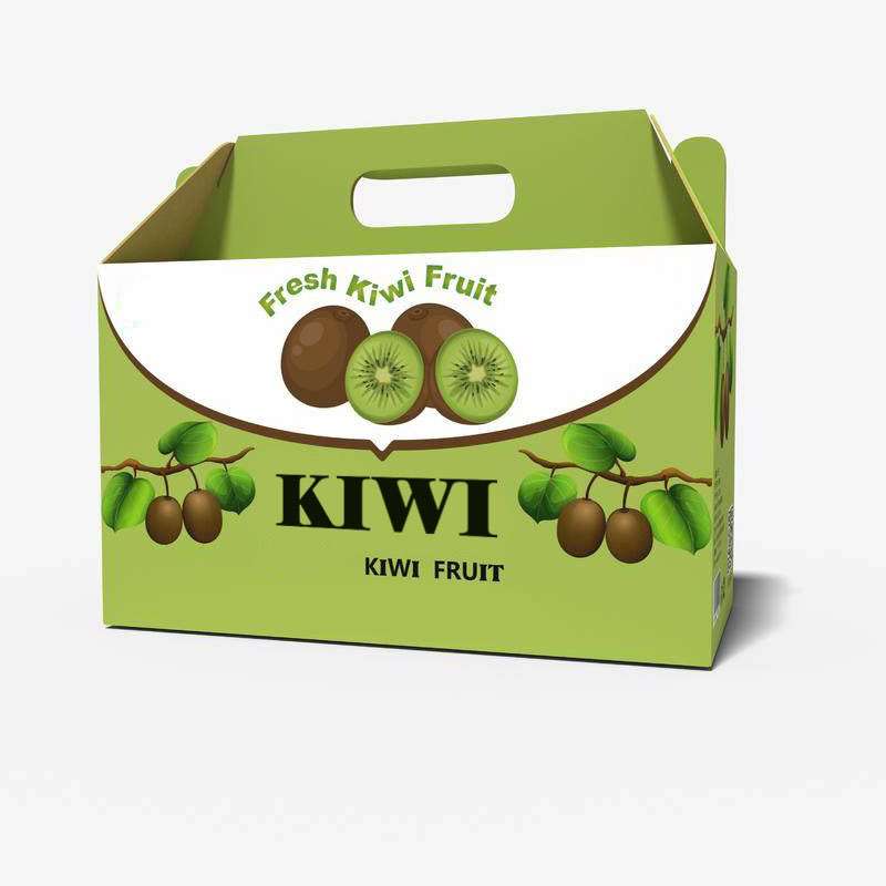 Custom Dustproof Fruit Corrugated Paper Box With Handle - Holidaypac